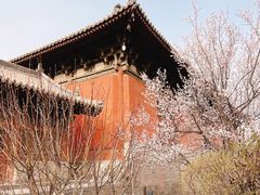 -善化寺