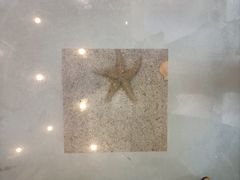 -碧中海汤泉汗蒸酒店