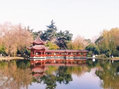 -橘子洲景区