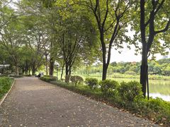 -怡海公园(桂城街道)