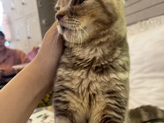 -平行世界·猫咖(首经贸店)