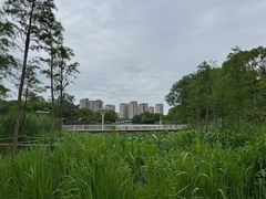 -新江湾城公园