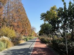 -上海长兴岛郊野公园