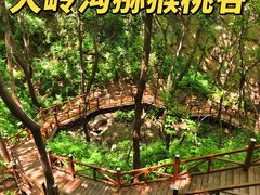 -大岭沟猕猴桃谷风景区