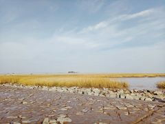 -南汇嘴观海公园