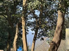 -韶山毛泽东图书馆