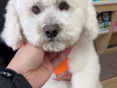 -宠福鑫康馨动物医院·骨科·眼科