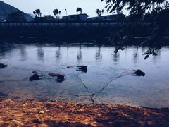 -杭州双溪漂流景区