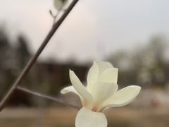 -南翠屏公园