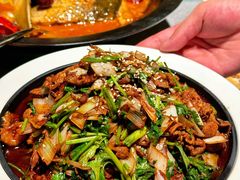 -秀儿四九城·新京菜(亚运村鸟巢店)