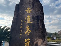 -龙泉青瓷博物馆