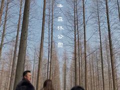 -黄海国家森林公园