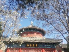 -大钟寺古钟博物馆