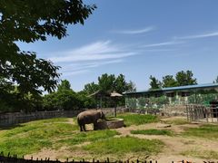 -西安秦岭野生动物园