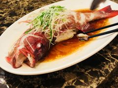 -老洋房花园饭店(绍兴路店)