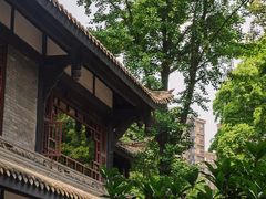 -大妙火锅·非物质文化遗产(东湖公园店)