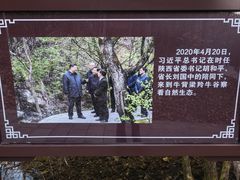 -牛背梁国家森林公园