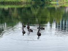 -华为成都研究所-U1