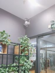 -藤野造型烫染·漂发