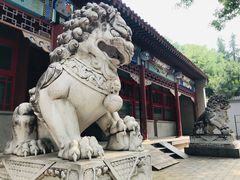 -玲珑塔公园
