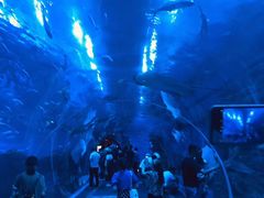 -成都浩海立方海洋公园