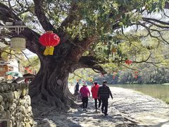 -福建土楼（南靖）云水谣景区-和贵楼