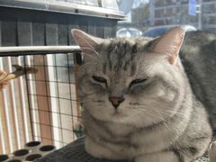 -平行世界·猫咖(首经贸店)