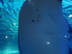 -常州海昌海洋探索馆