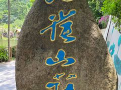 -西双版纳原始森林公园