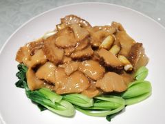红烧猴头菇-群英会·三国菜(曹魏古城店)