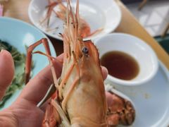 -品鲜村农家菜·阳澄湖大闸蟹(总店)