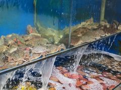 -北方饺子王·海肠捞饭·海鲜锅(山大店)