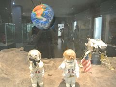 -济州岛泰迪熊博物馆