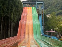 -重庆海昌加勒比海水世界