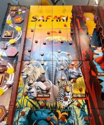 -卡通尼·Safari非洲探索乐园·生日会(金桥国际商业广场店)