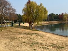 -贡湖湾湿地公园