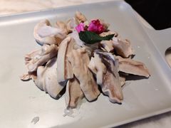 煲宫精选猪肚-煲宫猪肚鸡(晶品店)