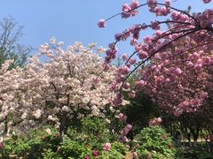 -江南大学(蠡湖校区)
