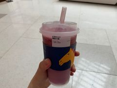 -春丽小马(济南恒隆广场店)
