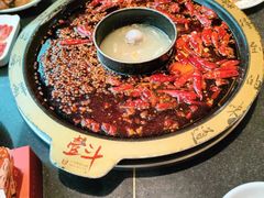 -一斗火锅·招财羊毛肚(北温泉九号店)