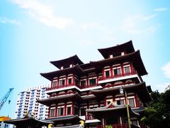-美芝律剪刀剪咖喱饭