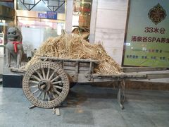 -淀里船宴(裕华东路店)
