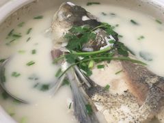 -天乐农家鱼头王(天目湖店)