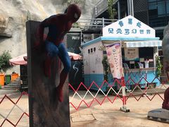 -贝壳梦幻世界