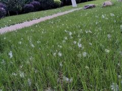 -厦门国家会计学院