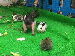 -万达广场(松江店)