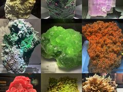 -湖南省地质博物馆