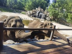 -北京野生动物园