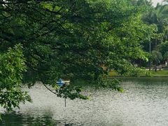 -晓港公园