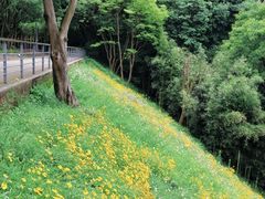 -西湖风景区-江洋畈生态公园